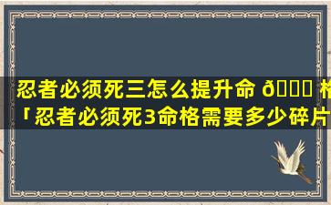 忍者必须死三怎么提升命 🐟 格「忍者必须死3命格需要多少碎片」